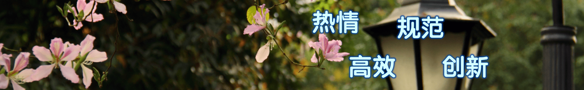 太阳成集团tyc33455