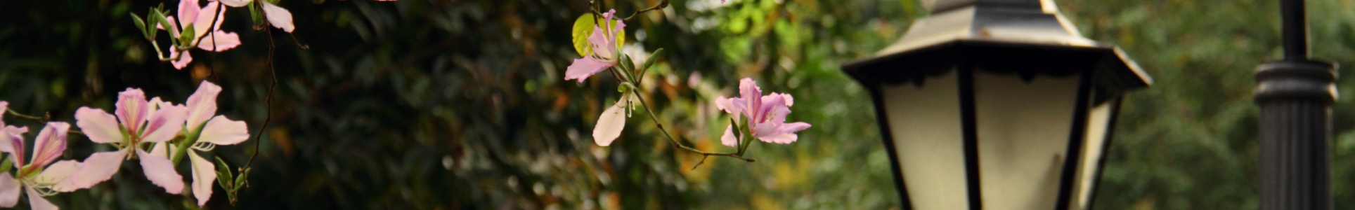 太阳成集团tyc33455